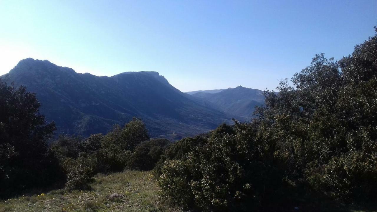 Le Gite De Cristal Proche Bugarach Granes Экстерьер фото
